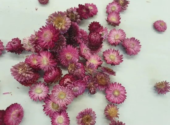 Helichrysumkoppen donker roze±100 gr.
